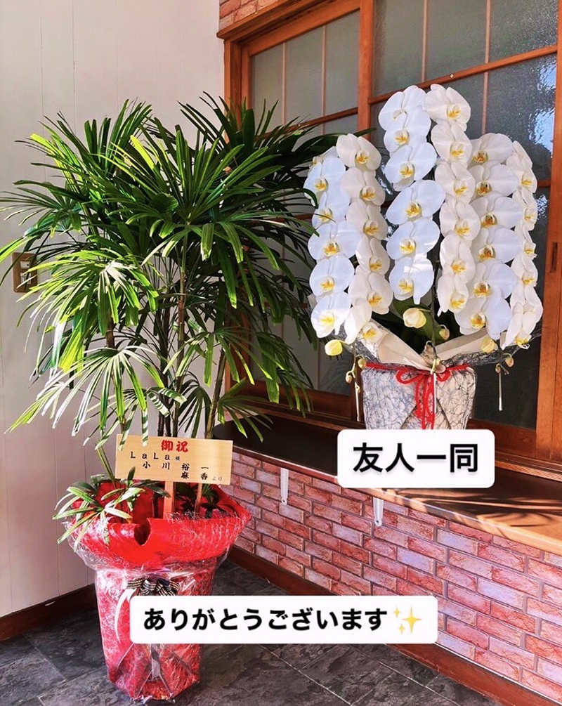 正式に業務をスタートしました!!